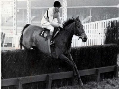 Arkle - a Famous Horse - 1957-1970