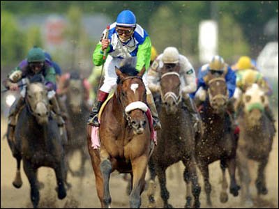 Barbaro - famous race horse
