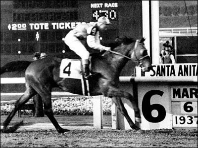 Seabiscuit - A famous Race Horse