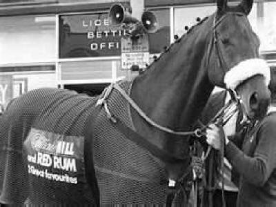 Red Rum- A famous Horse - 1965-1995