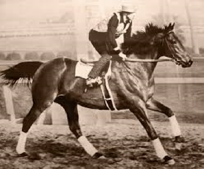 Seabiscuit - the Inspiration of a nation
